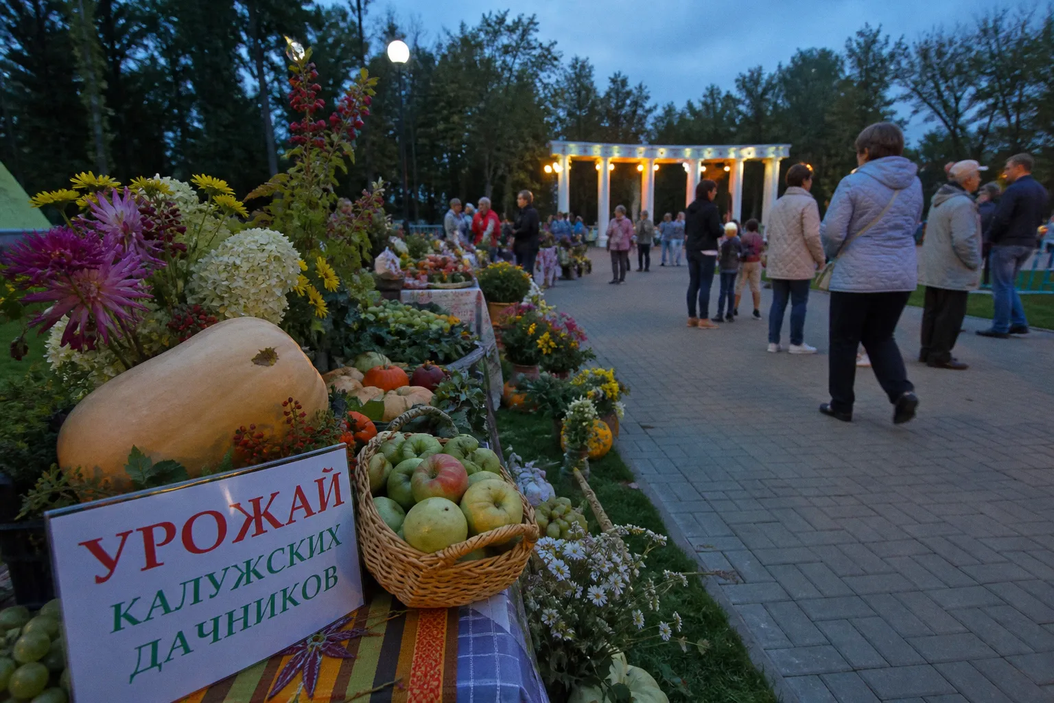 Урожай калужских дачников: как частное садоводство стало городским событием